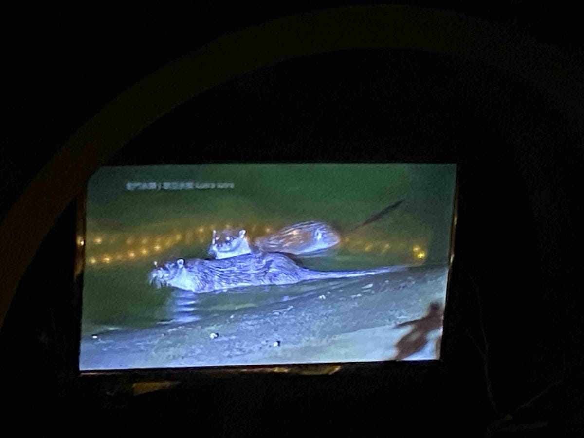 kkday夜探水瀨 (9).jpg kkday夜探水瀨 (9).jpg