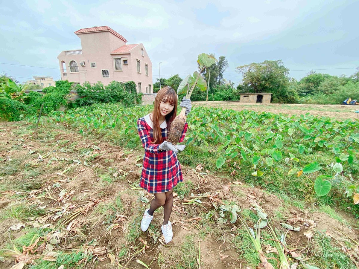 興高采烈嶼你相芋 (62).jpg 興高采烈嶼你相芋 (62).jpg