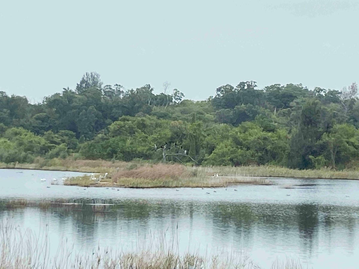 興高采烈嶼你相芋 (86).jpg 興高采烈嶼你相芋 (86).jpg