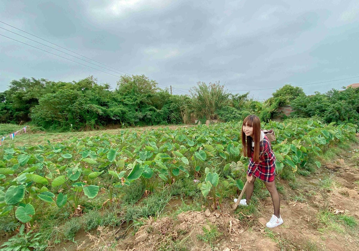 興高采烈嶼你相芋 (58).jpg 興高采烈嶼你相芋 (58).jpg