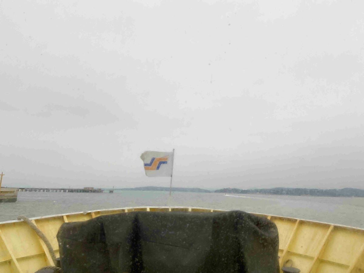 興高采烈嶼你相芋 (10).jpg 興高采烈嶼你相芋 (10).jpg