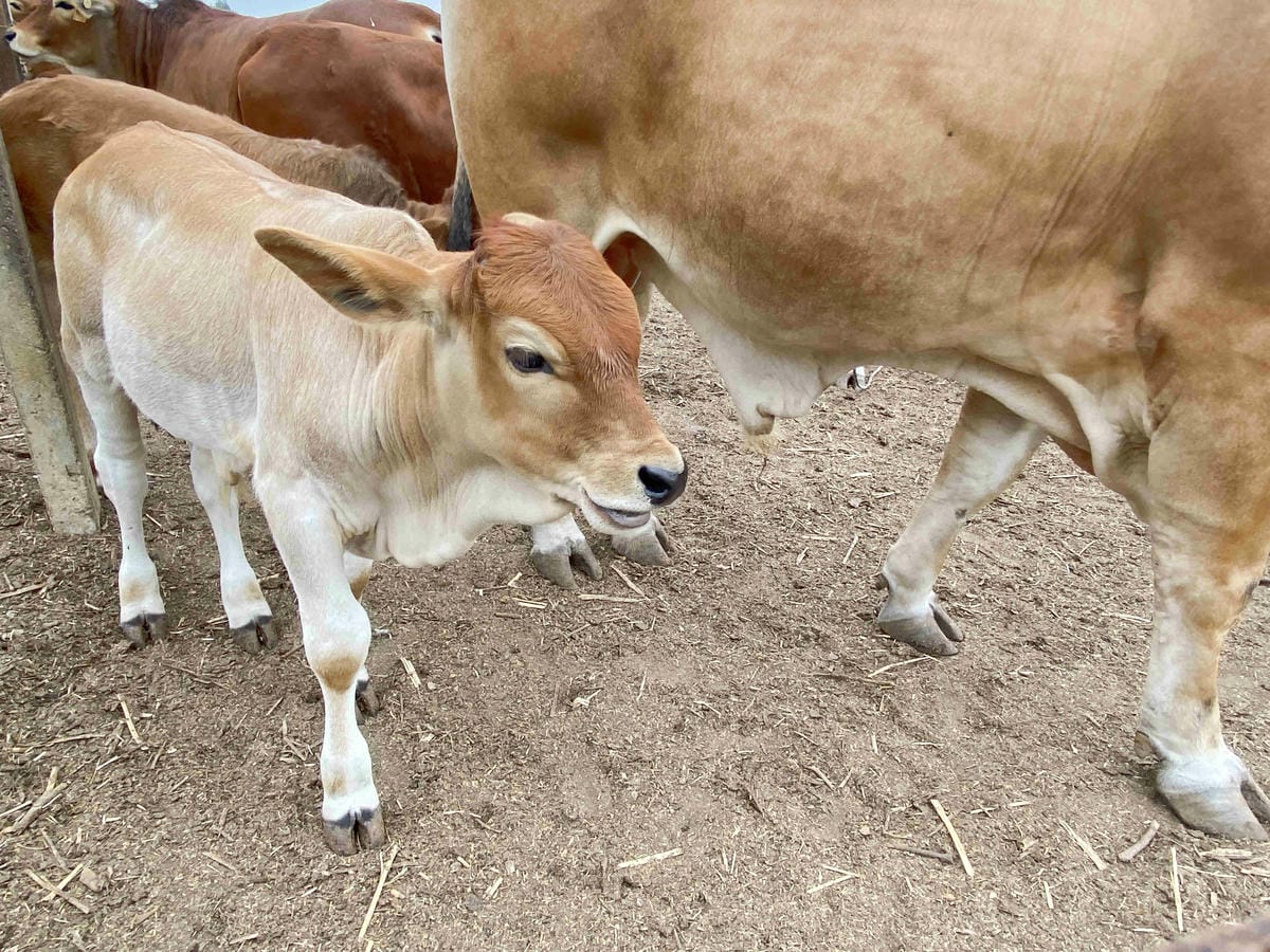 興高采烈嶼你相芋 (146).jpg 興高采烈嶼你相芋 (146).jpg