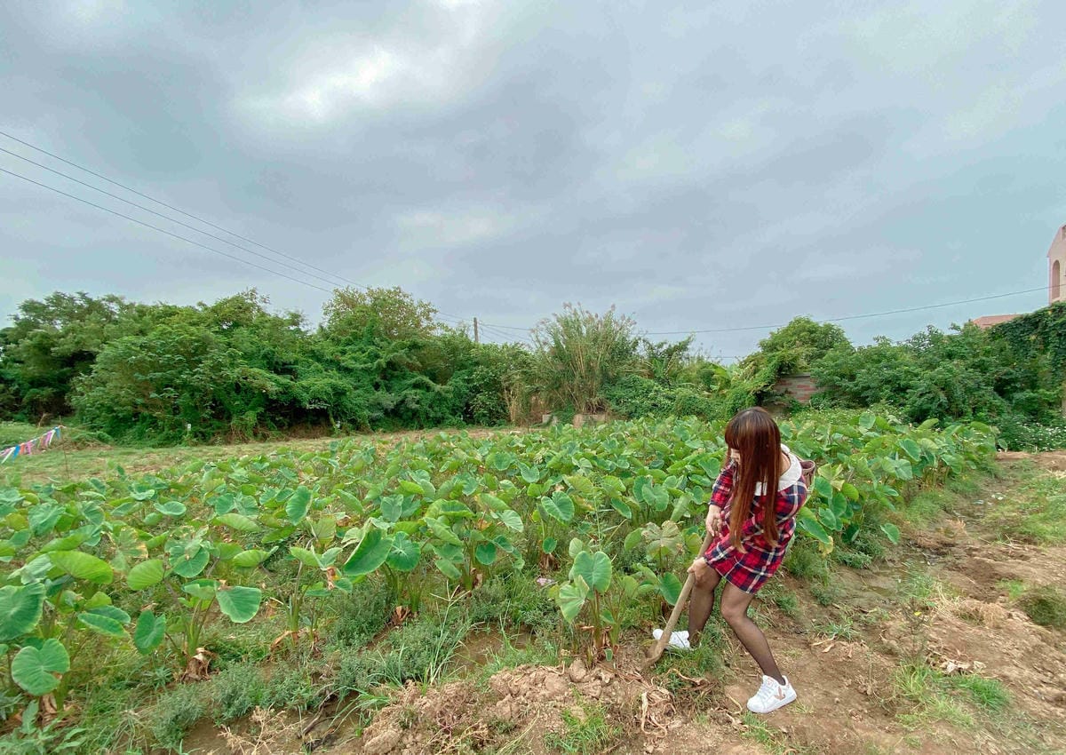 興高采烈嶼你相芋 (57).jpg 興高采烈嶼你相芋 (57).jpg
