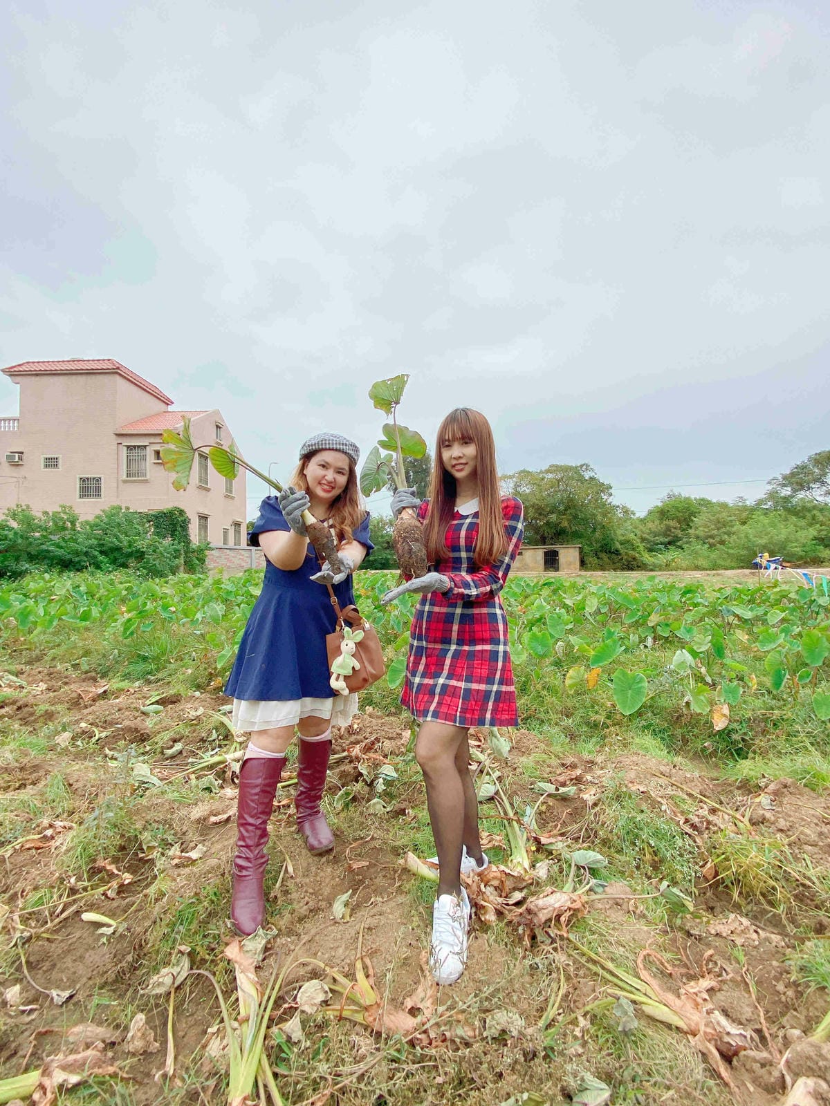 興高采烈嶼你相芋 (61).jpg 興高采烈嶼你相芋 (61).jpg