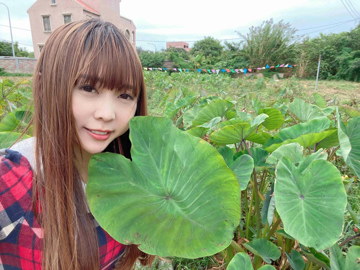 興高采烈嶼你相芋 (60).jpg 興高采烈嶼你相芋 (60).jpg