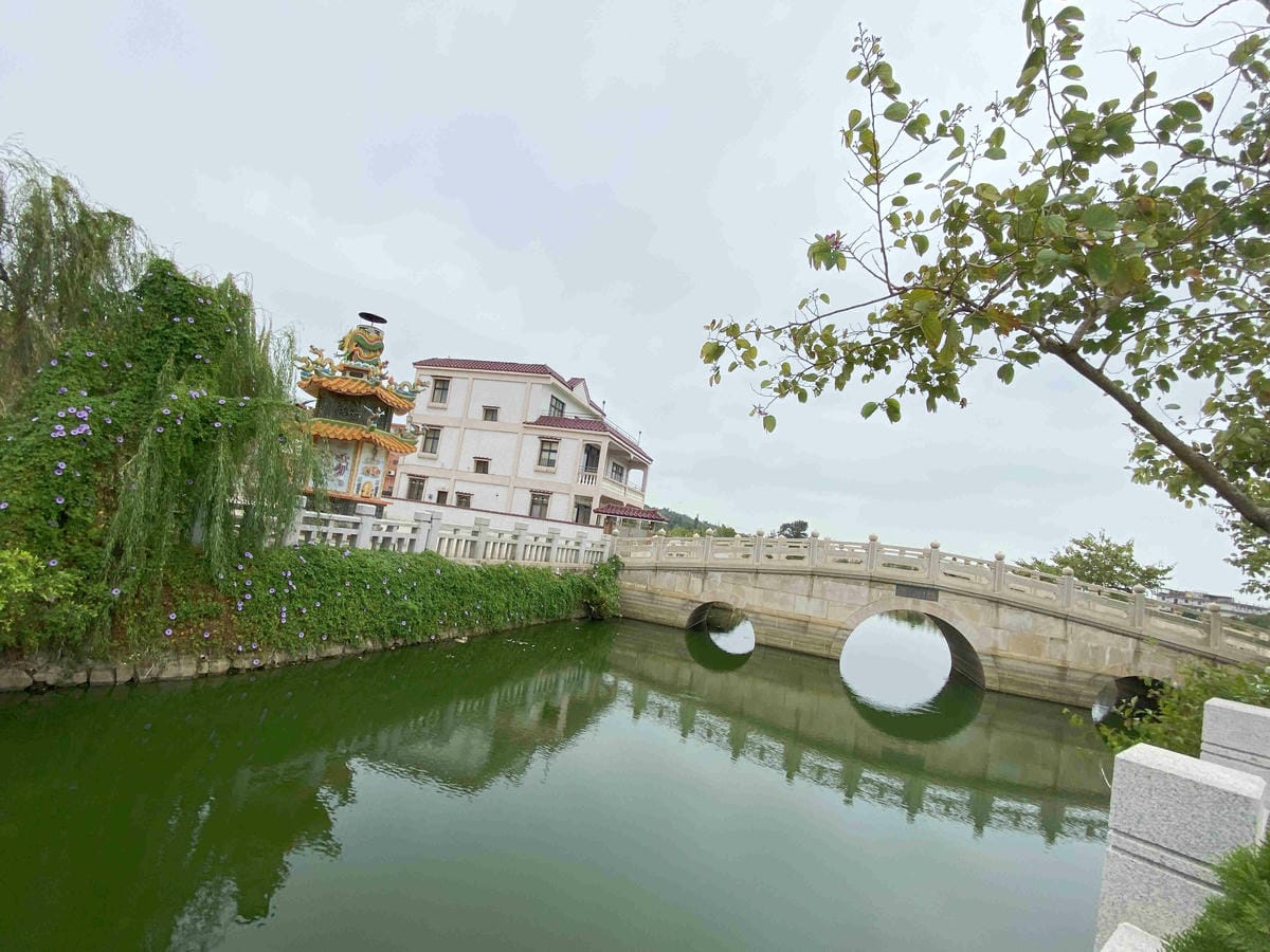 興高采烈嶼你相芋 (67).jpg 興高采烈嶼你相芋 (67).jpg