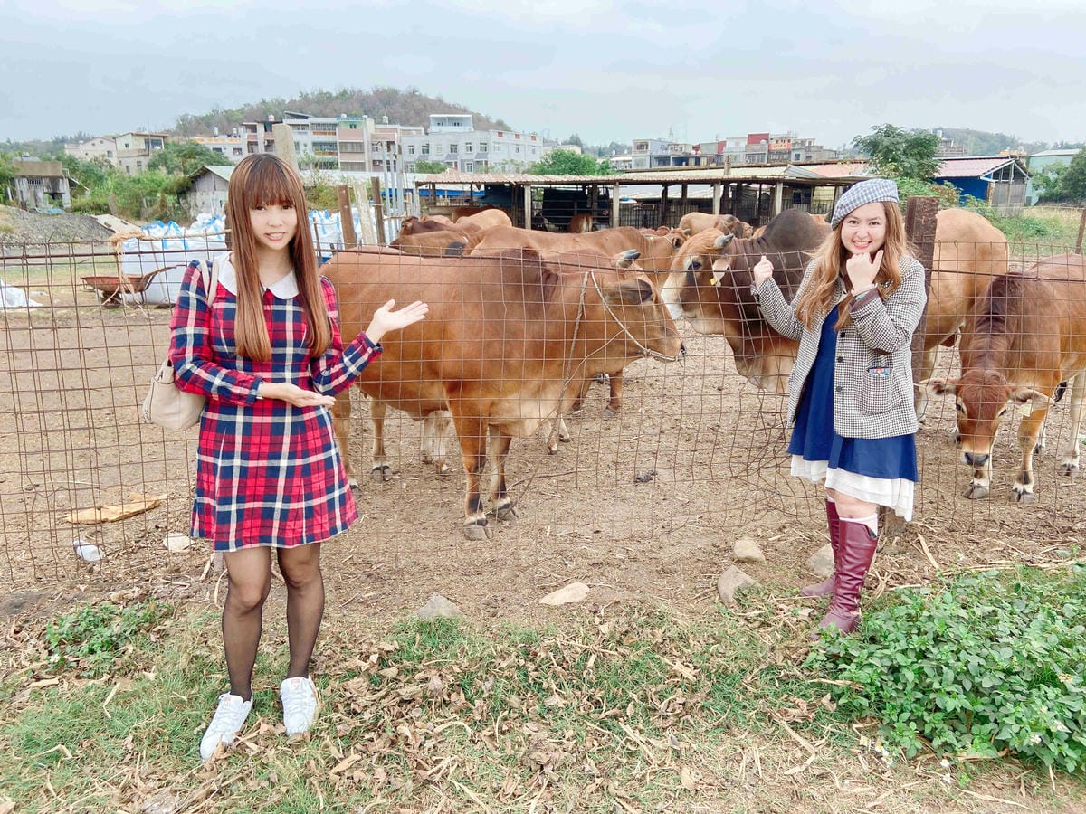 興高采烈嶼你相芋 (147).jpg 興高采烈嶼你相芋 (147).jpg