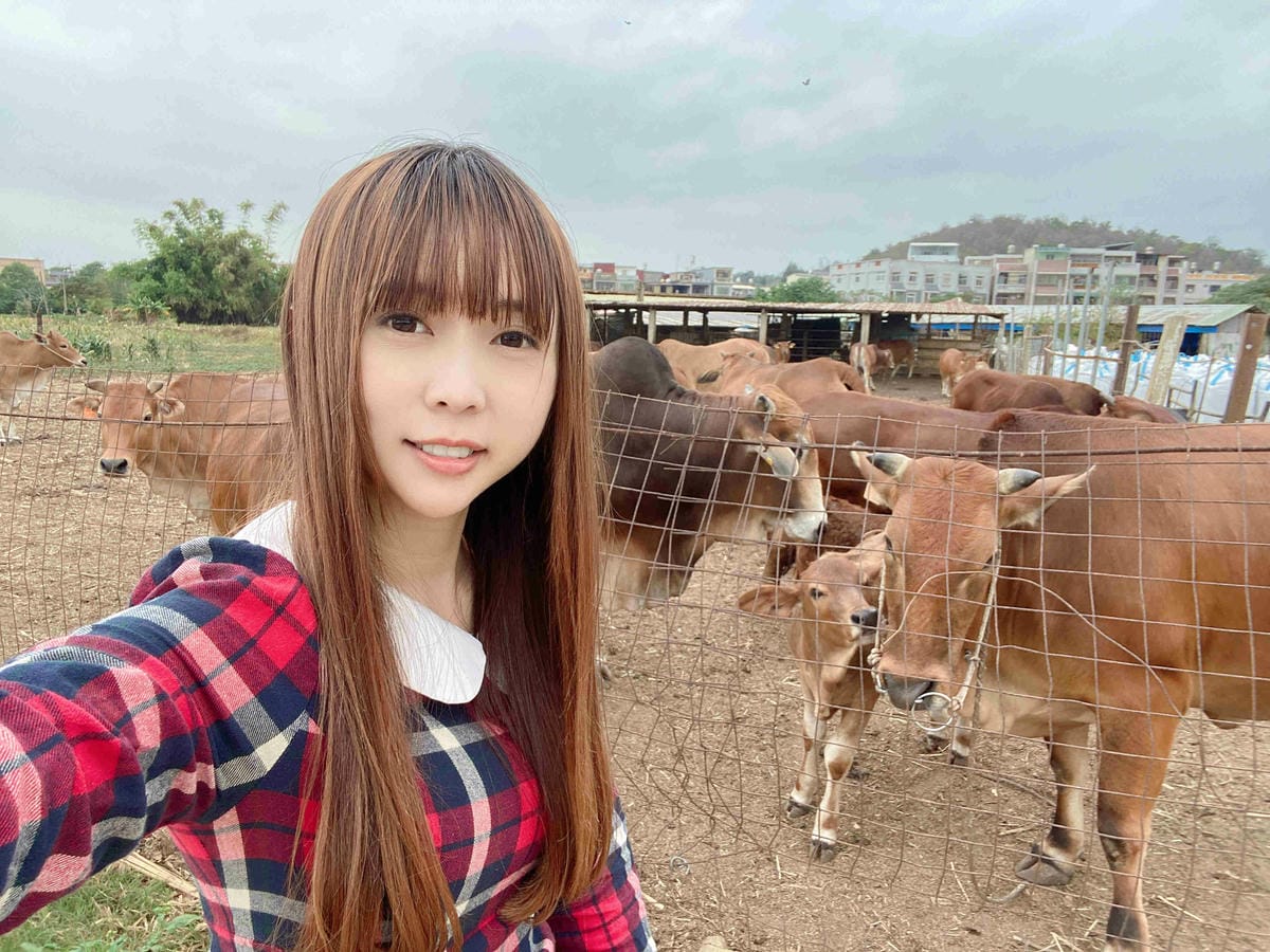 興高采烈嶼你相芋 (148).jpg 興高采烈嶼你相芋 (148).jpg