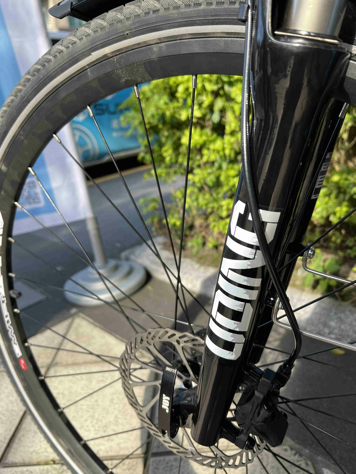 SUPRINO (29).jpg SUPRINO (29).jpg