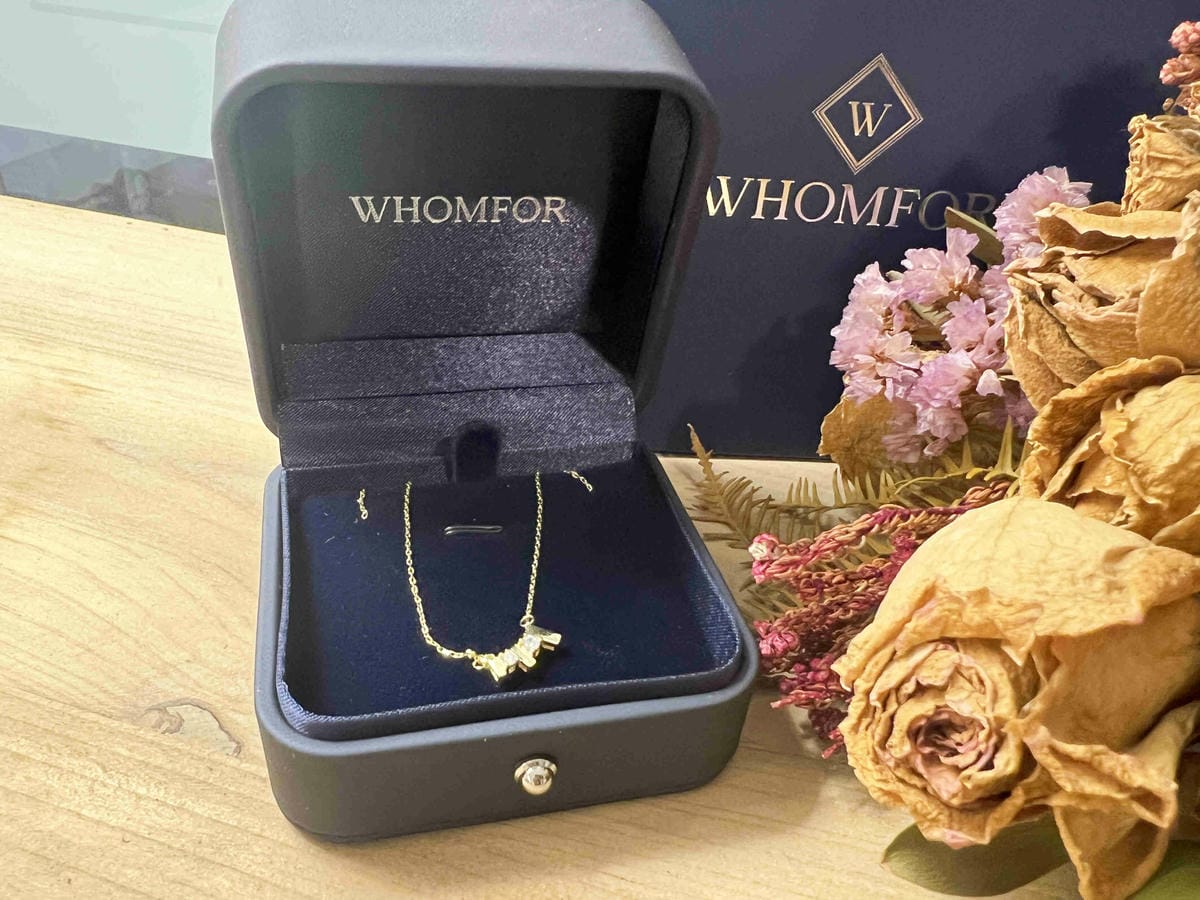 Whomfor經典十字架鑲鑽純銀手鍊.Spotlight 簡約雙鑽鎖骨鍊 (12).jpg Whomfor經典十字架鑲鑽純銀手鍊.Spotlight 簡約雙鑽鎖骨鍊 (12).jpg