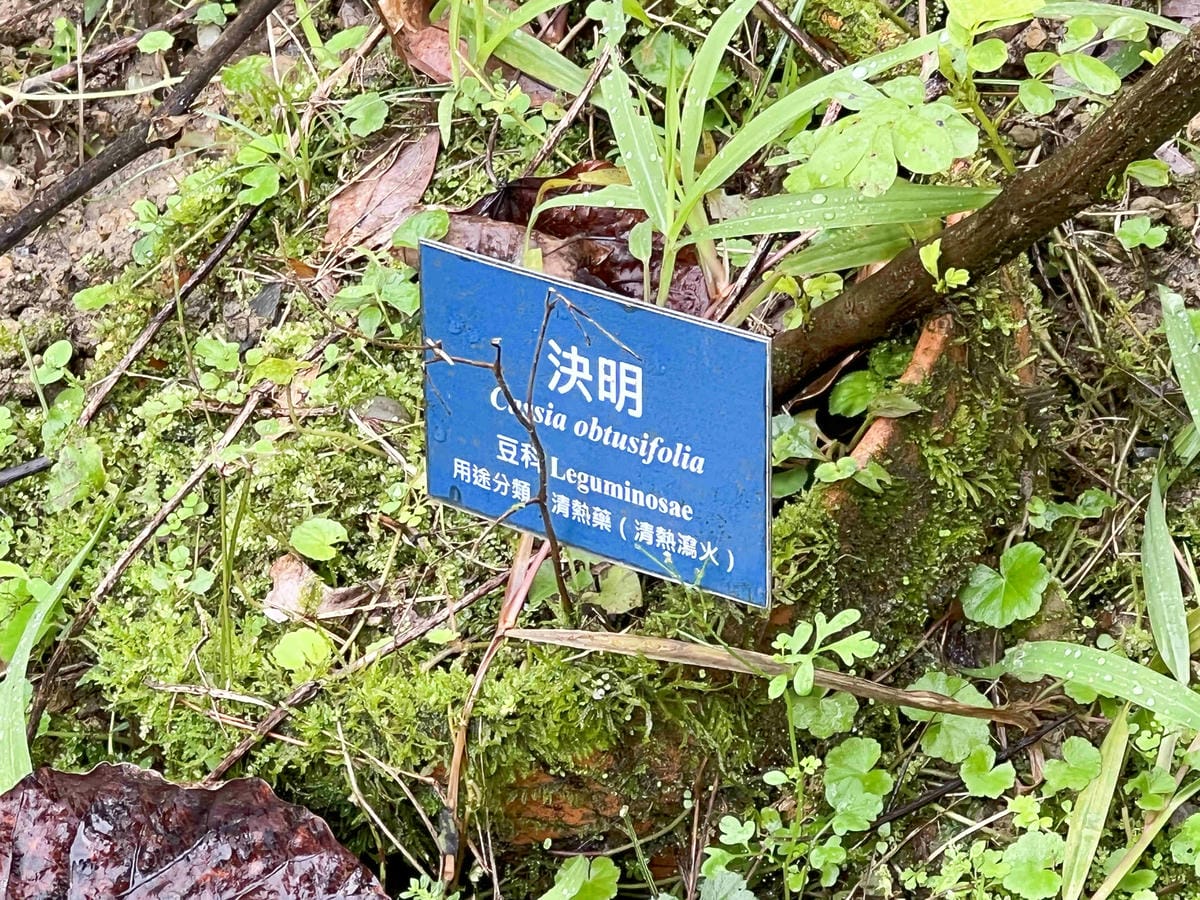 品位新北魅力農村平石碇 (36).jpg