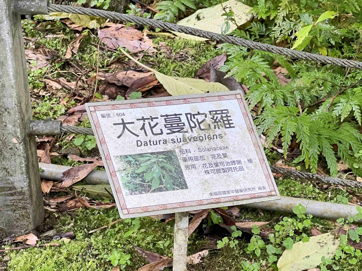 品位新北魅力農村平溪石碇 (40).jpg