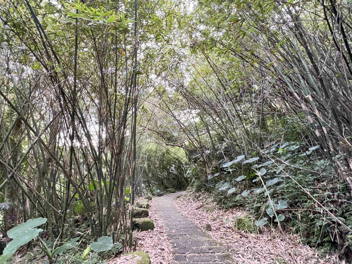 品位新北魅力農村平溪平碇 (88).jpg