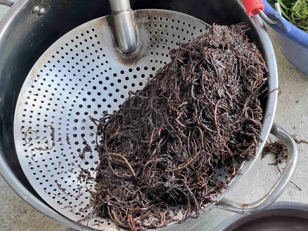 品位新北魅力農村平溪平碇 (113).jpg