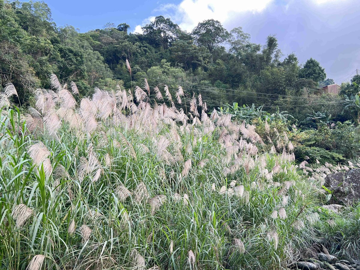 品位新北魅力農村平溪平碇 (98).jpg