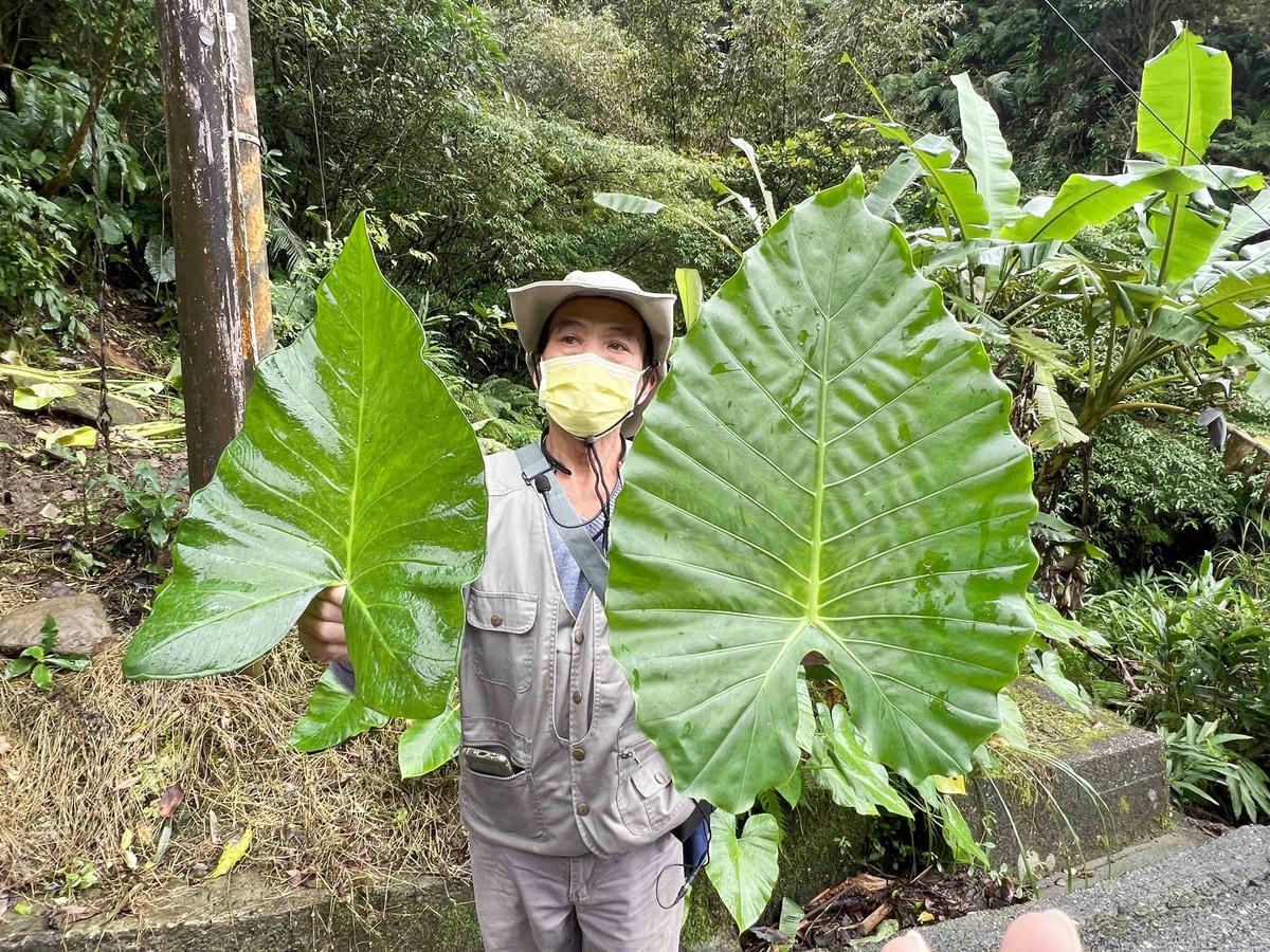 品位新北魅力農村平溪石碇 (25).jpg