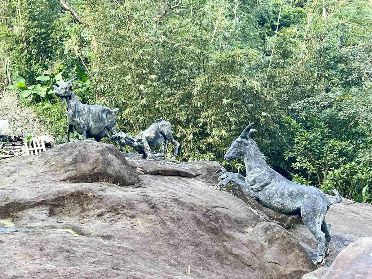 品位新北魅力農村平溪平碇 (118).jpg