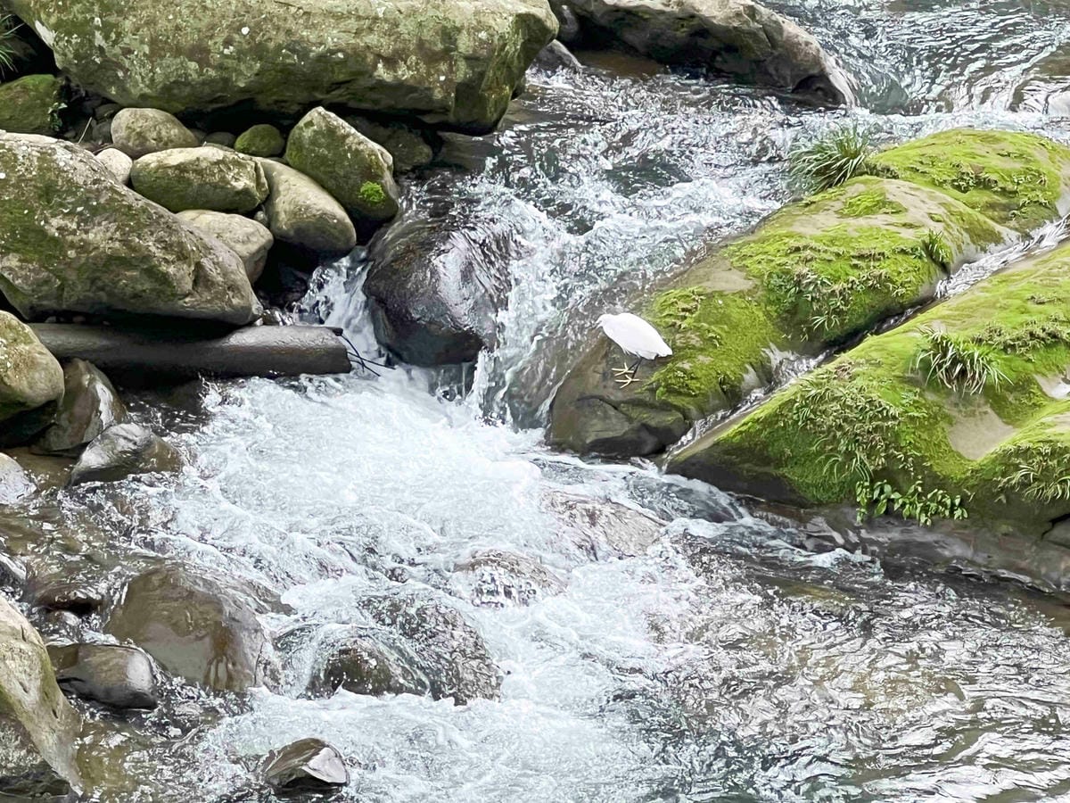 品位新北魅力農村平溪平碇 (84).jpg