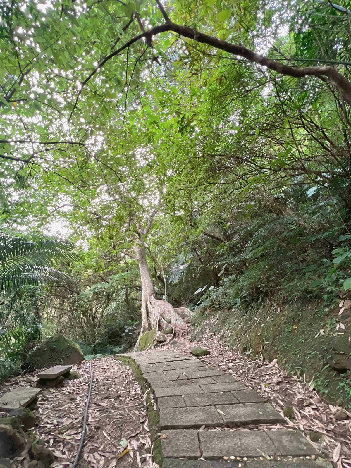 品位新北魅力農村平溪平碇 (90).jpg