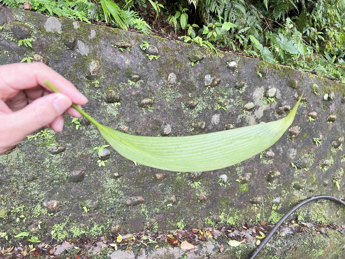 品位新北魅力農村平溪石碇 (46).jpg