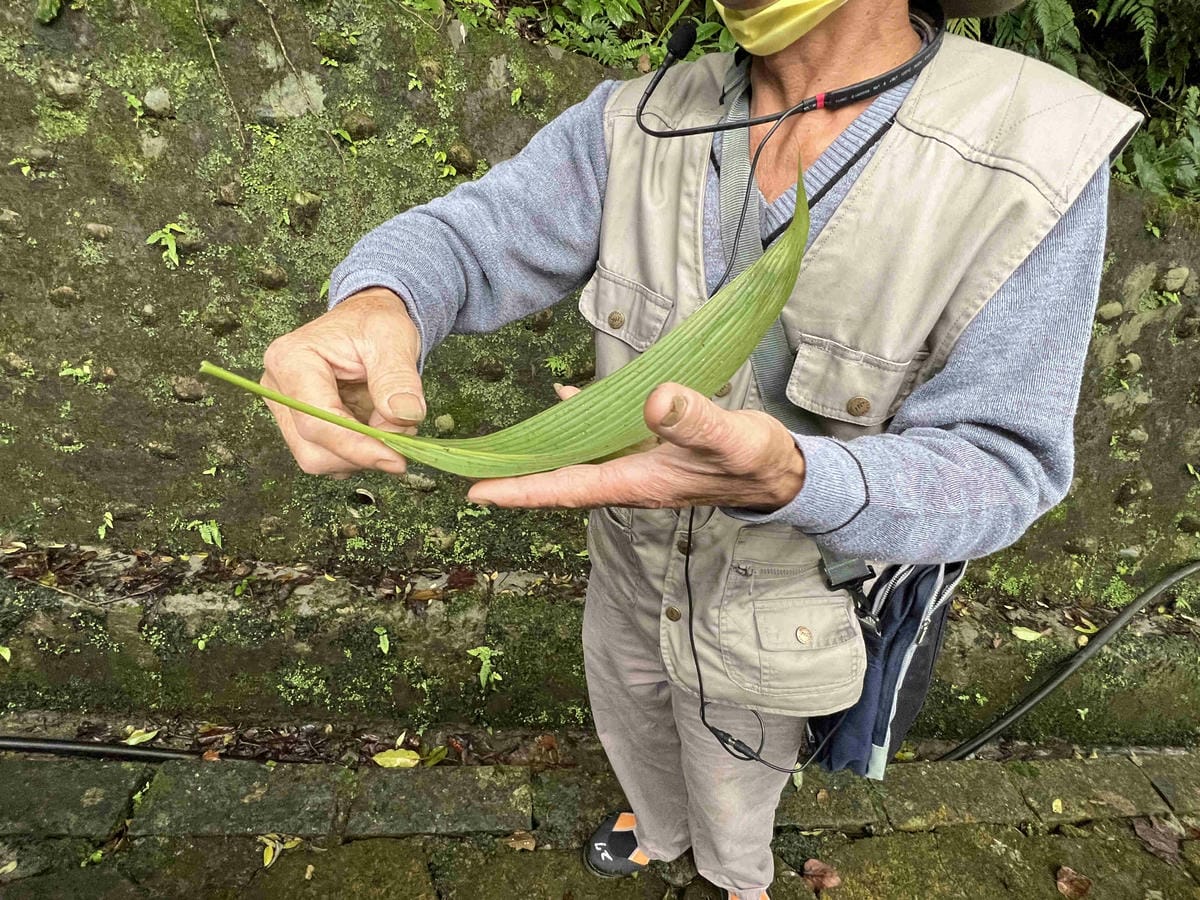 品位新北魅力農村平溪石碇 (45).jpg