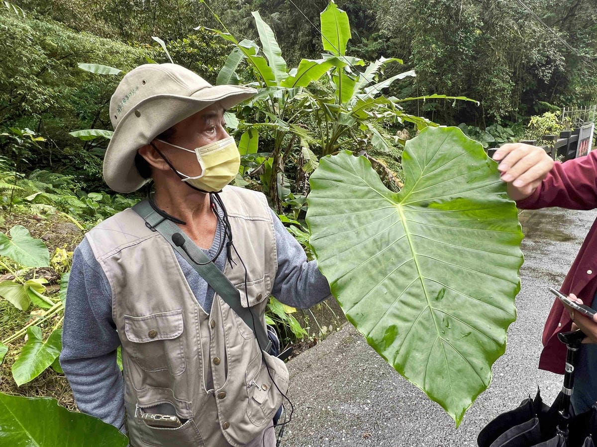 品位新北魅力農村平溪石碇 (26).jpg