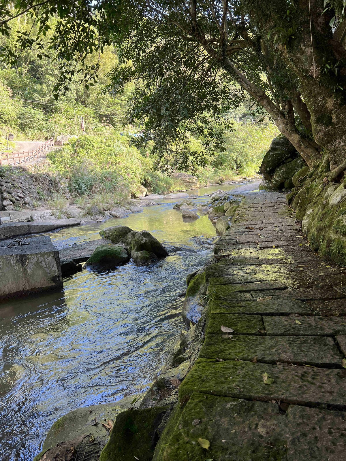 品位新北魅力農村平溪平碇 (97).jpg