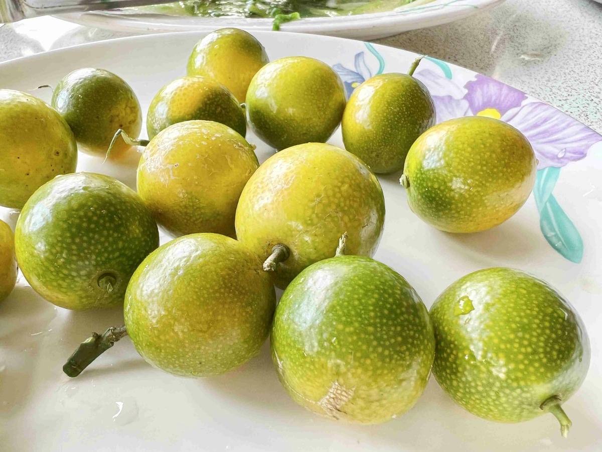 品位新北魅力農村平溪平碇 (147).jpg