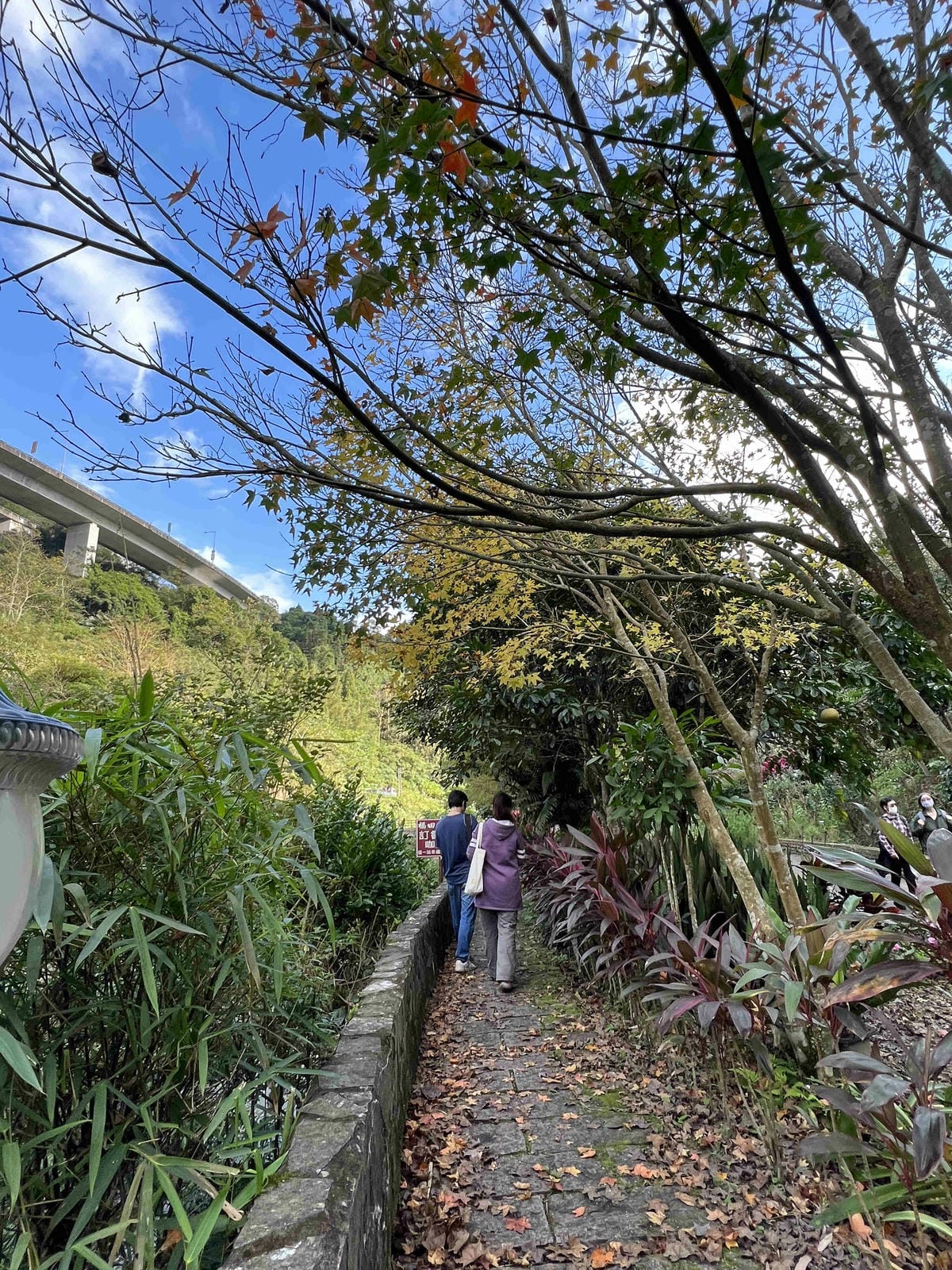 品位新北魅力農村平溪平碇 (94).jpg