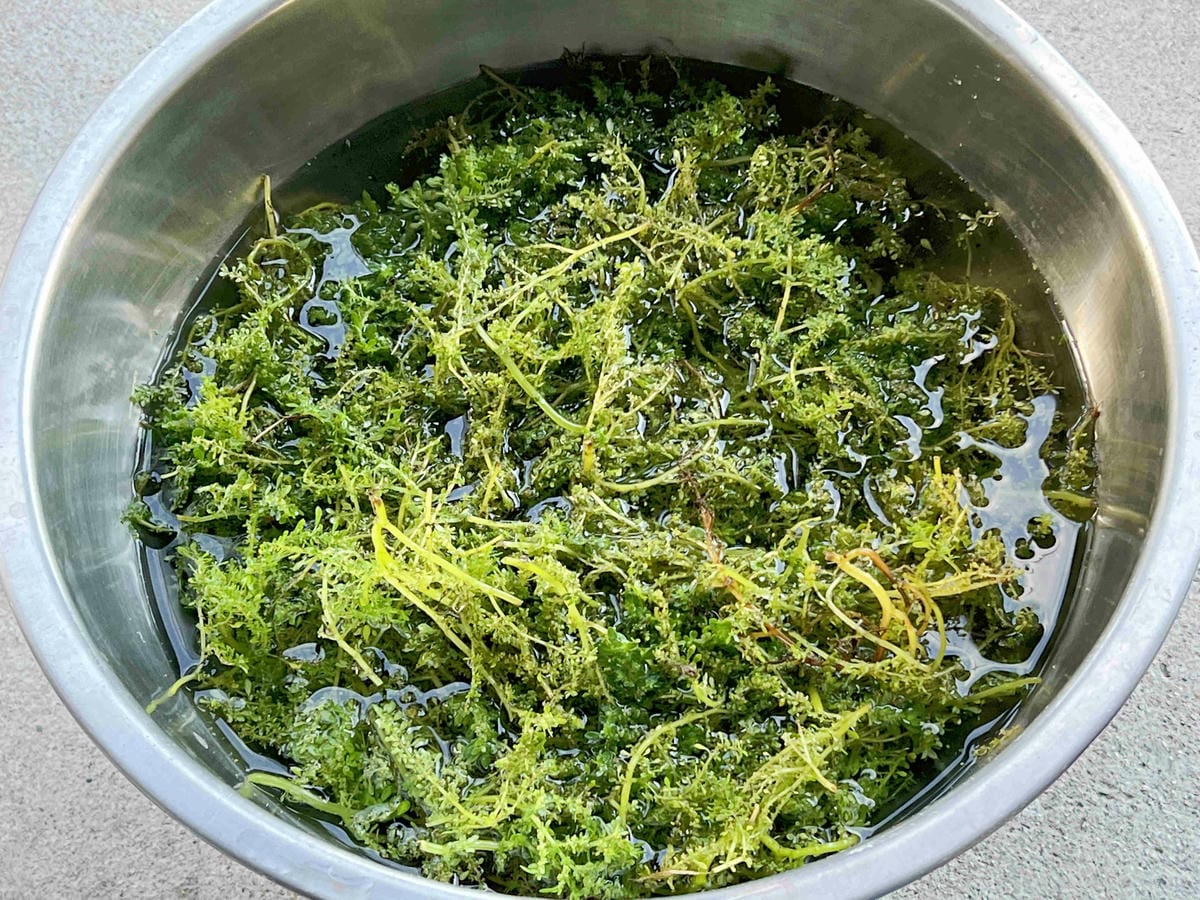 品位新北魅力農村平溪平碇 (112).jpg