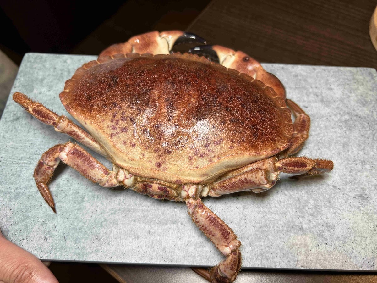 饌和牛 (24).jpg 饌和牛 (24).jpg