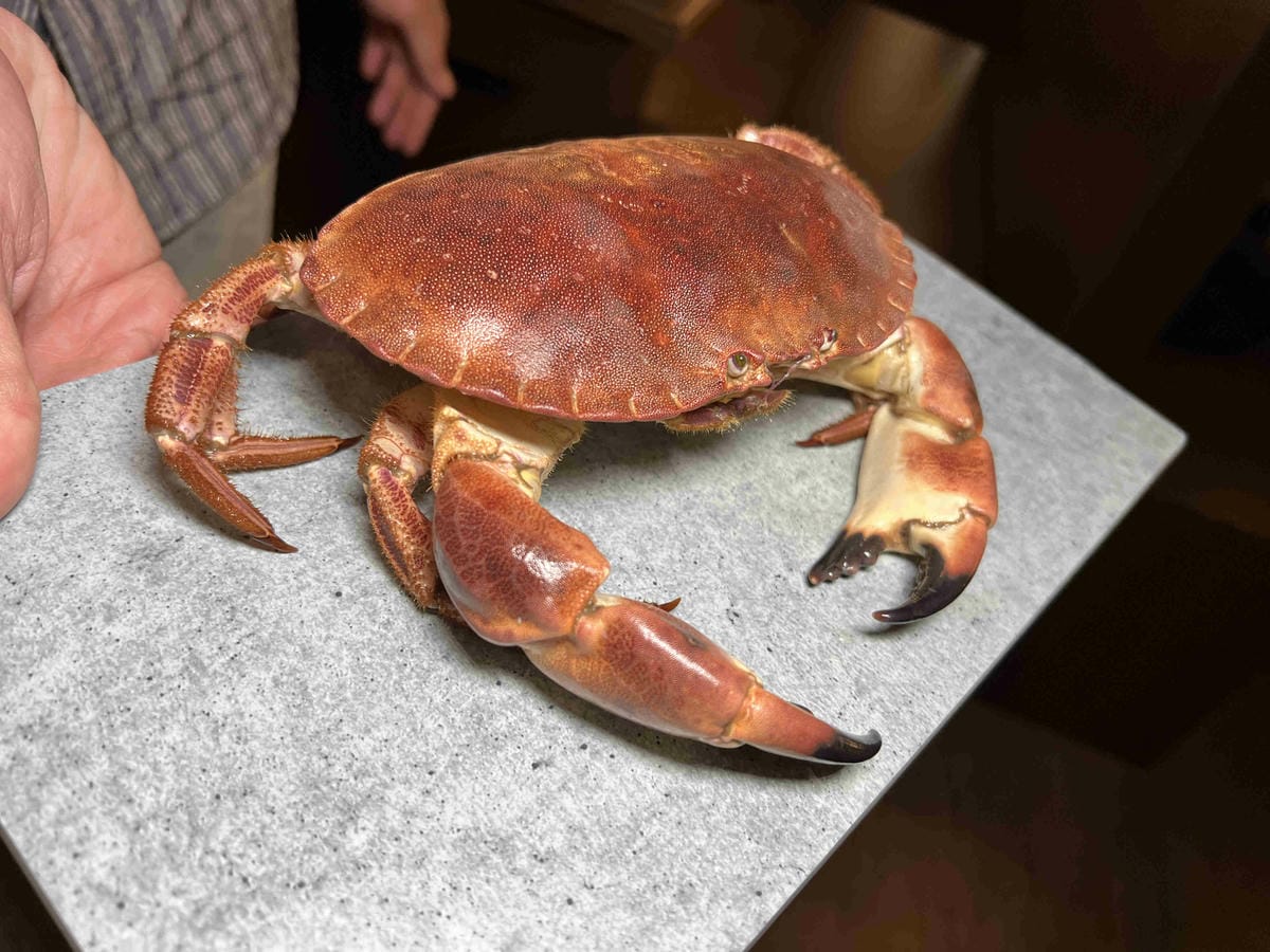 饌和牛 (25).jpg 饌和牛 (25).jpg