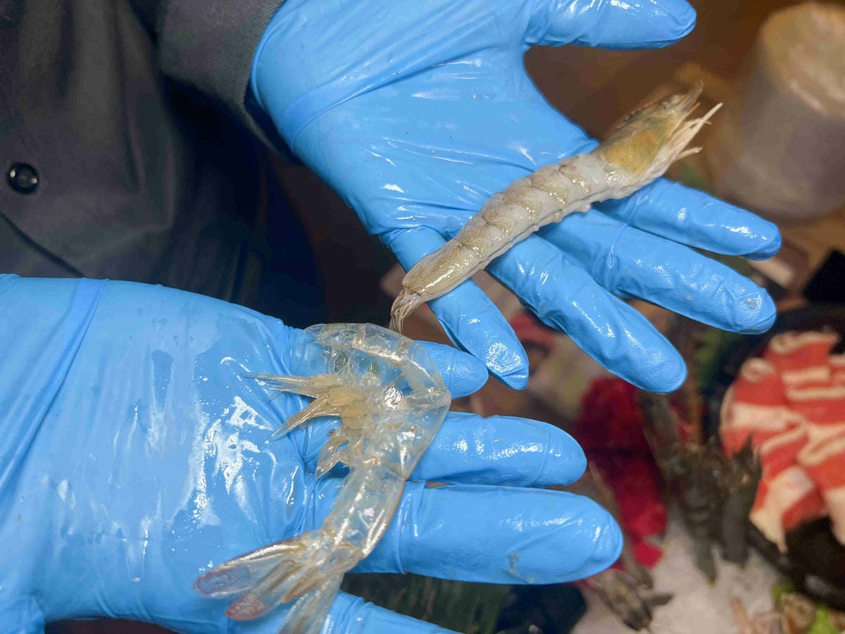 肉多多火鍋基隆店 (62).jpg 肉多多火鍋基隆店 (62).jpg