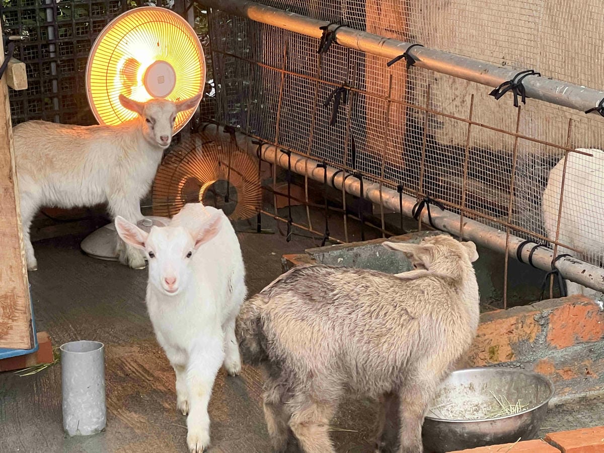 IMG_3176_副本.jpg IMG_3176_副本.jpg