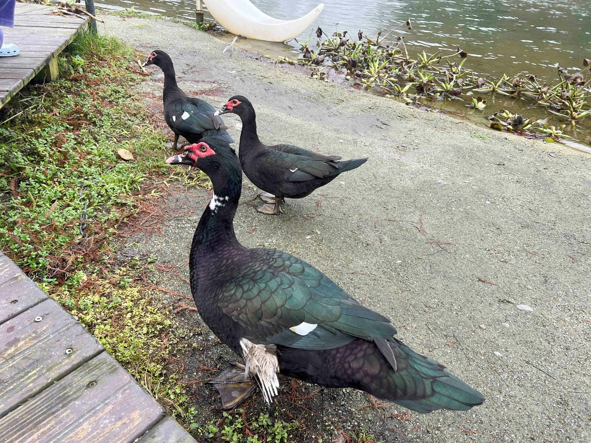 IMG_3037_副本.jpg IMG_3037_副本.jpg