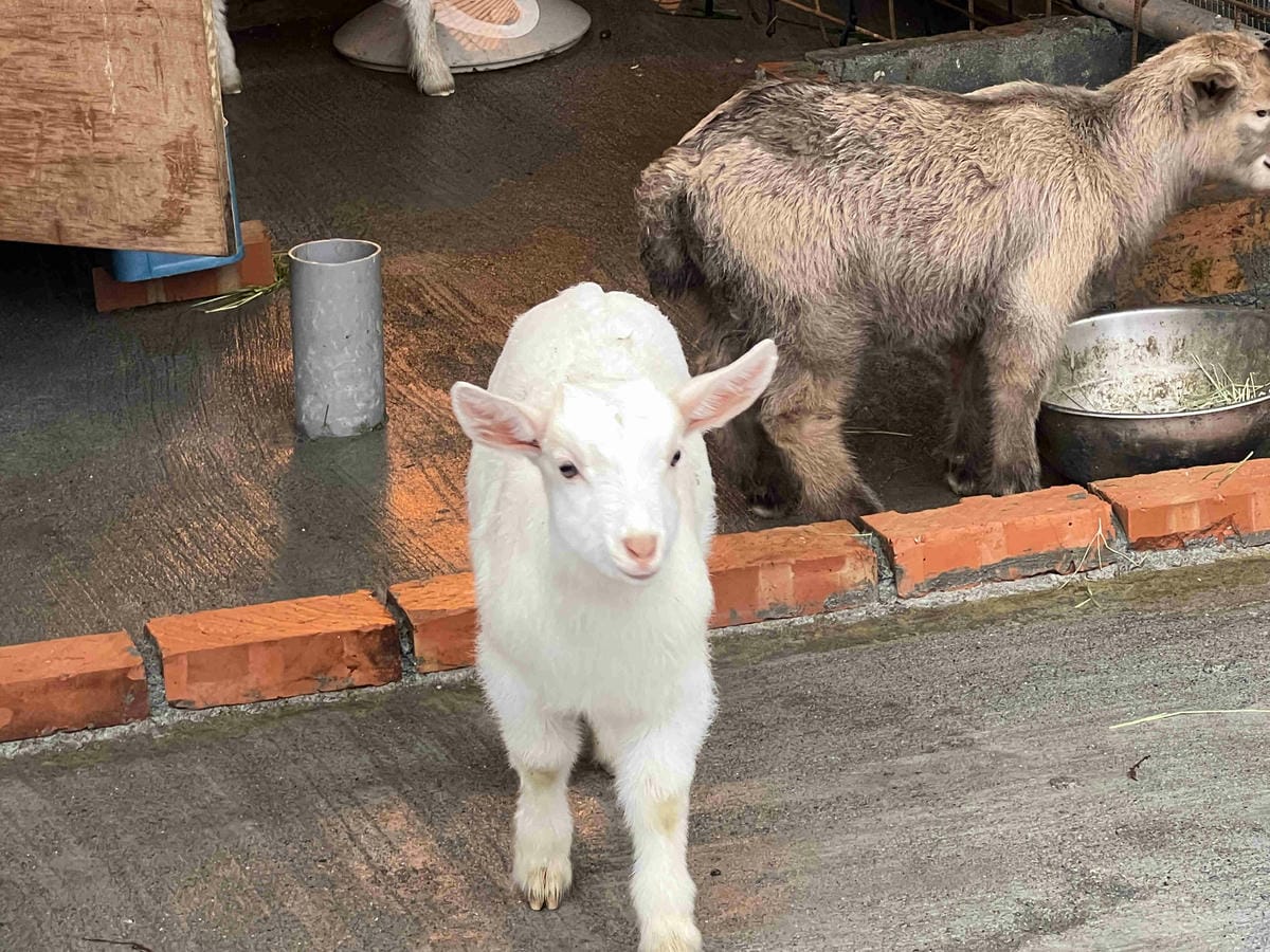 IMG_3177_副本.jpg IMG_3177_副本.jpg