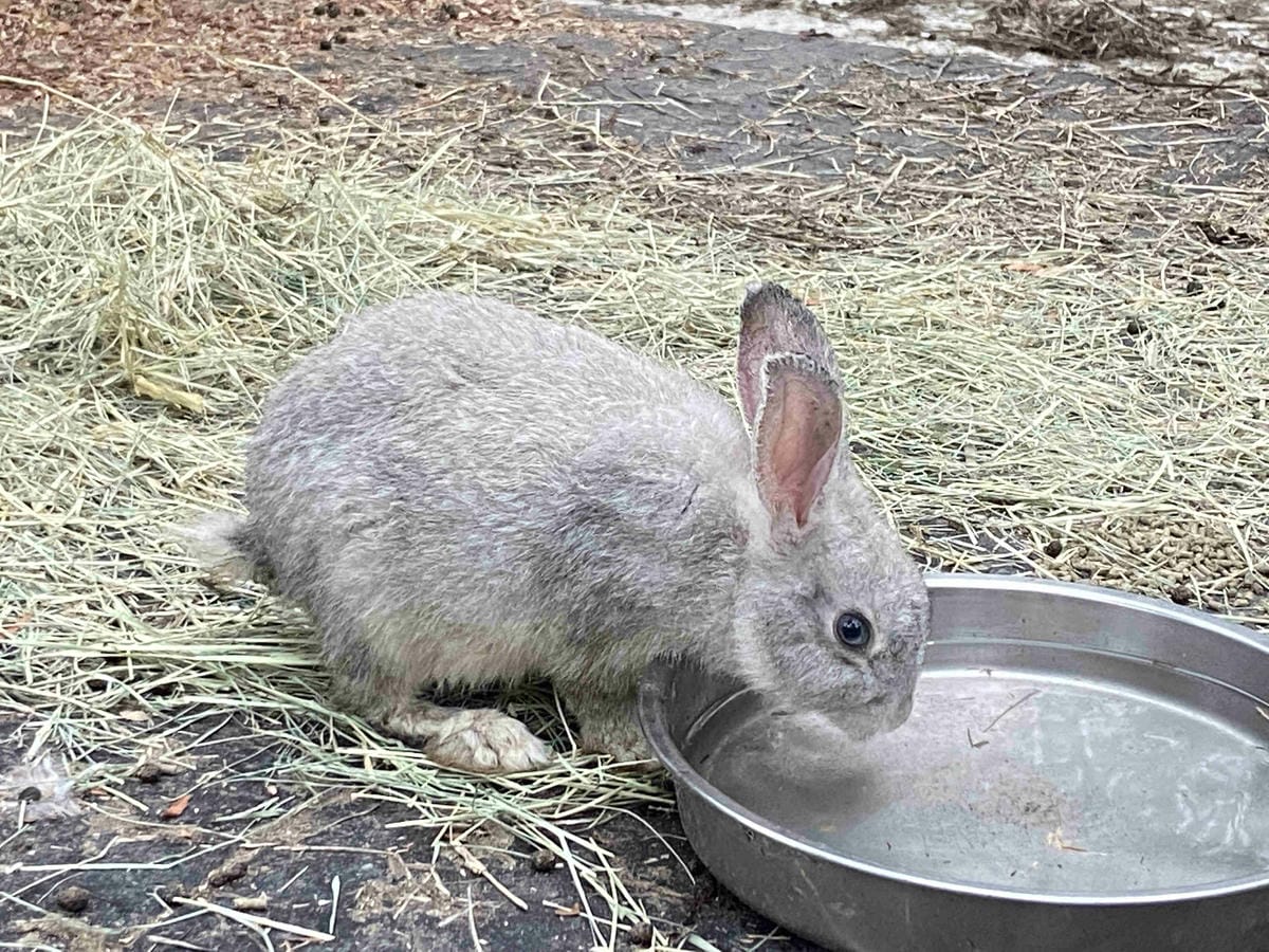 IMG_0427_副本.jpg IMG_0427_副本.jpg