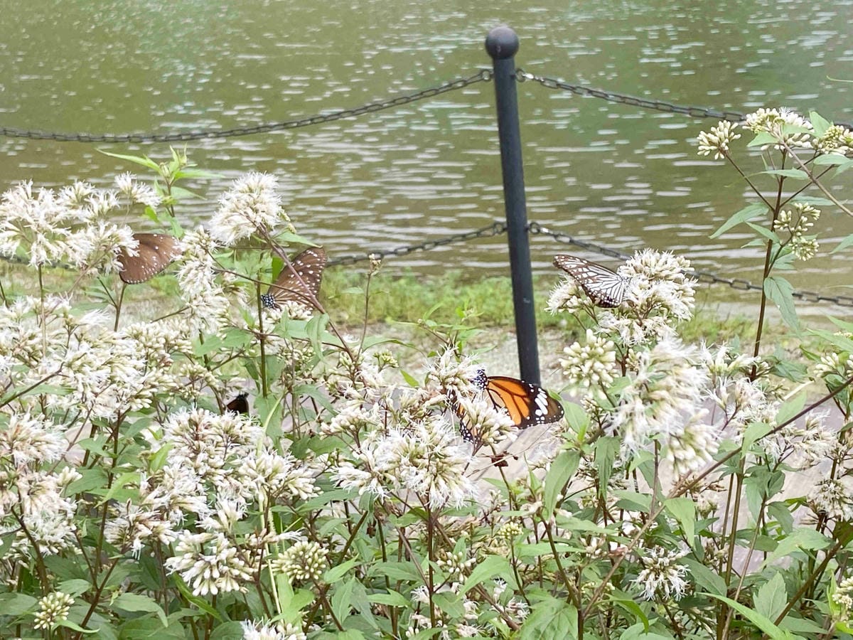 IMG_0248_副本.jpg IMG_0248_副本.jpg