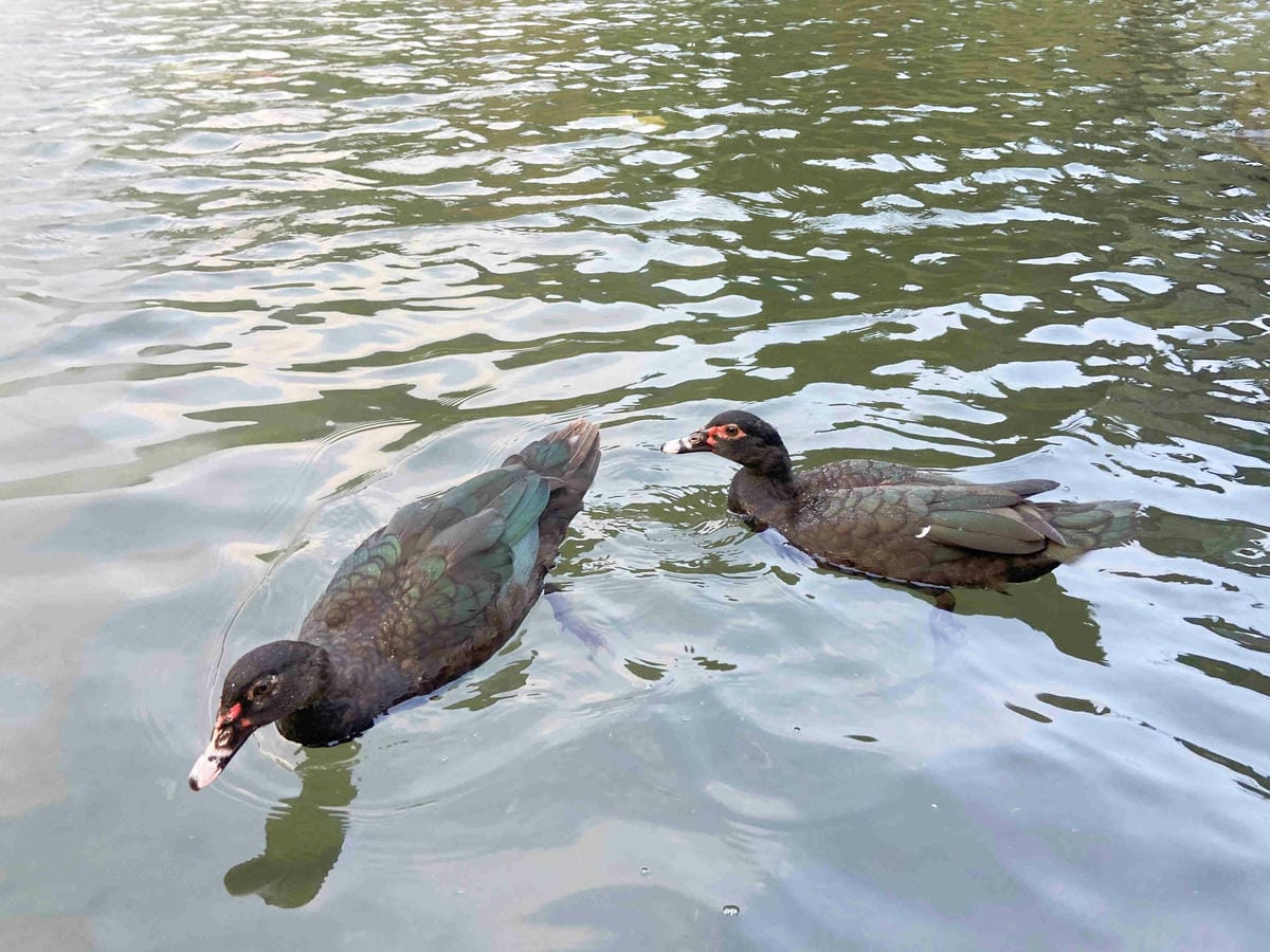 IMG_0382_副本.jpg IMG_0382_副本.jpg