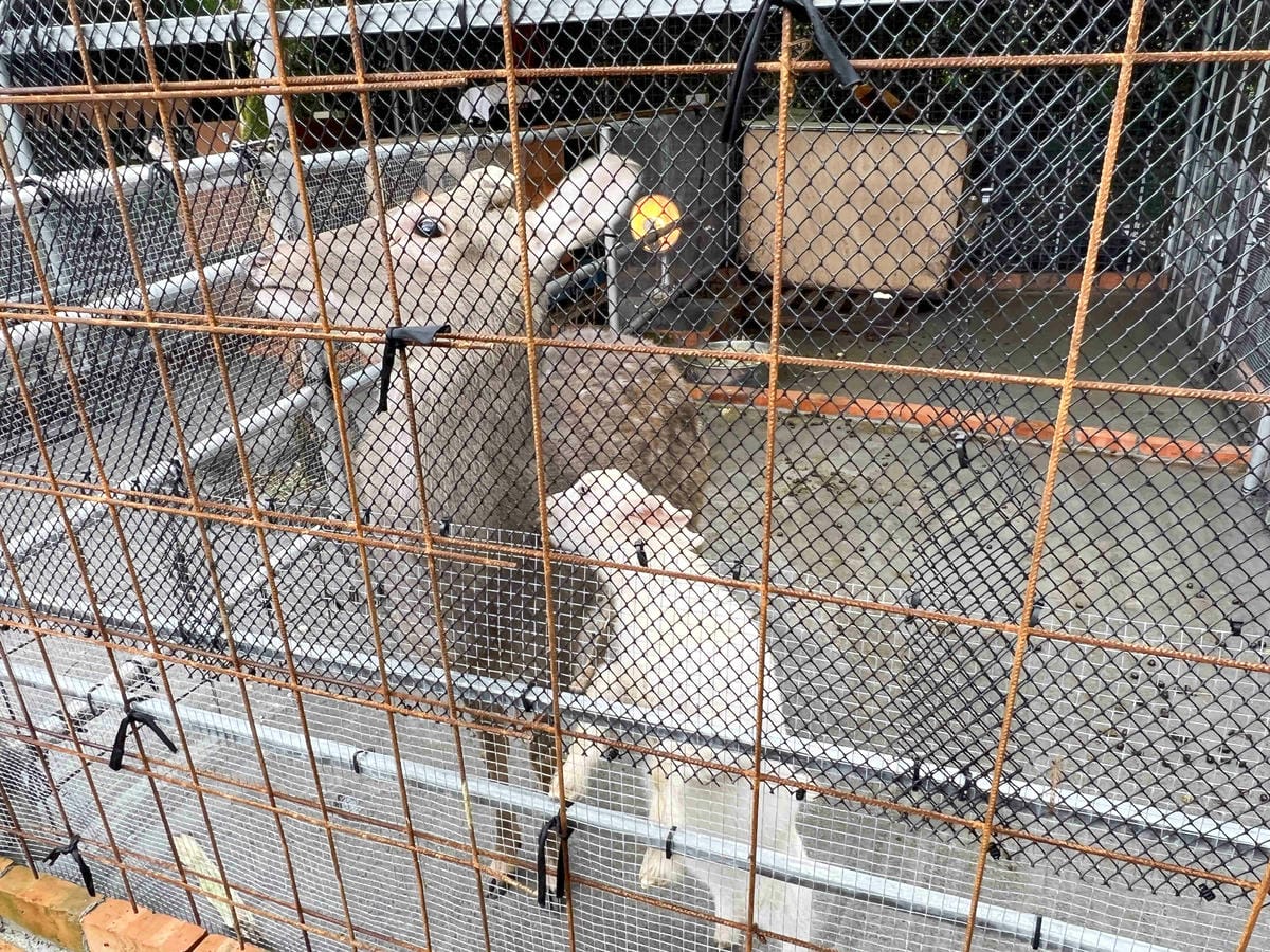 IMG_3171_副本.jpg IMG_3171_副本.jpg