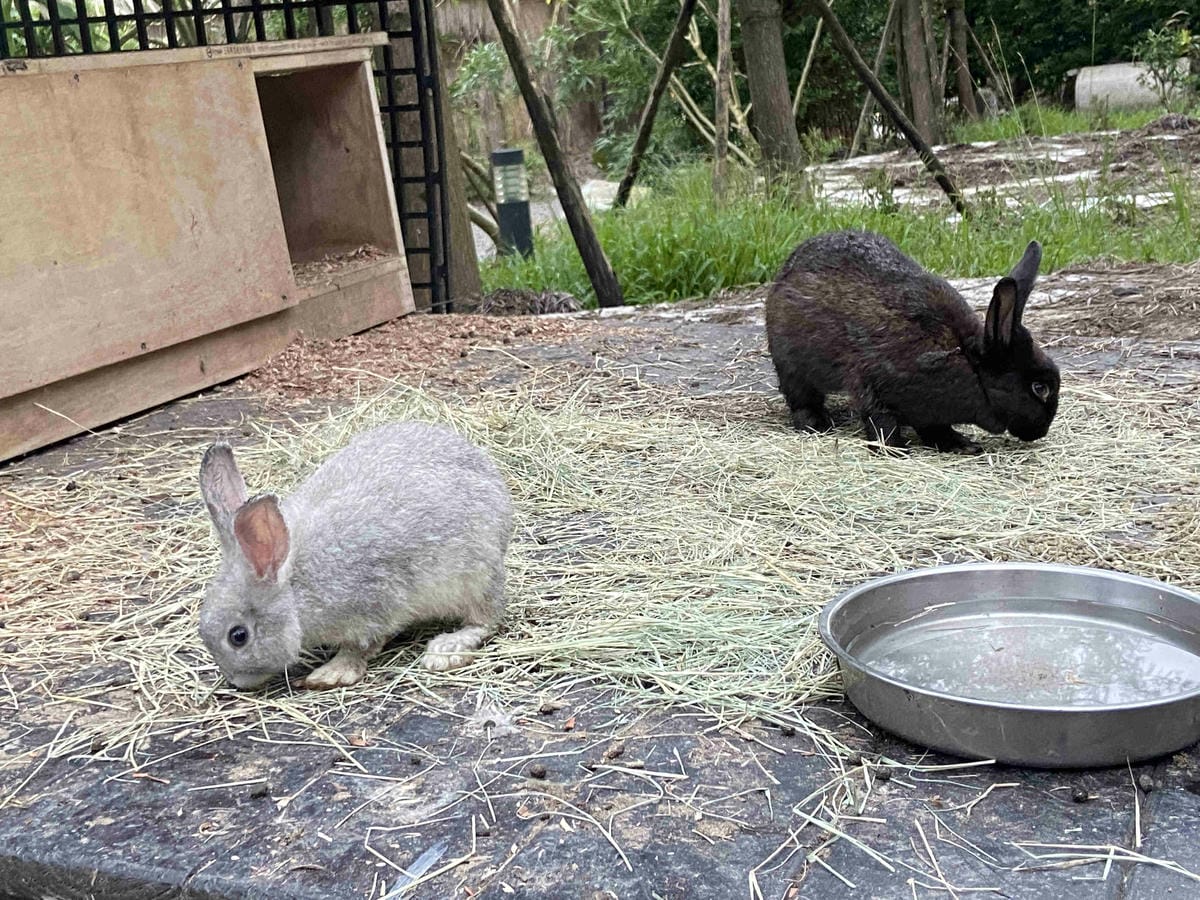 IMG_0430_副本.jpg IMG_0430_副本.jpg