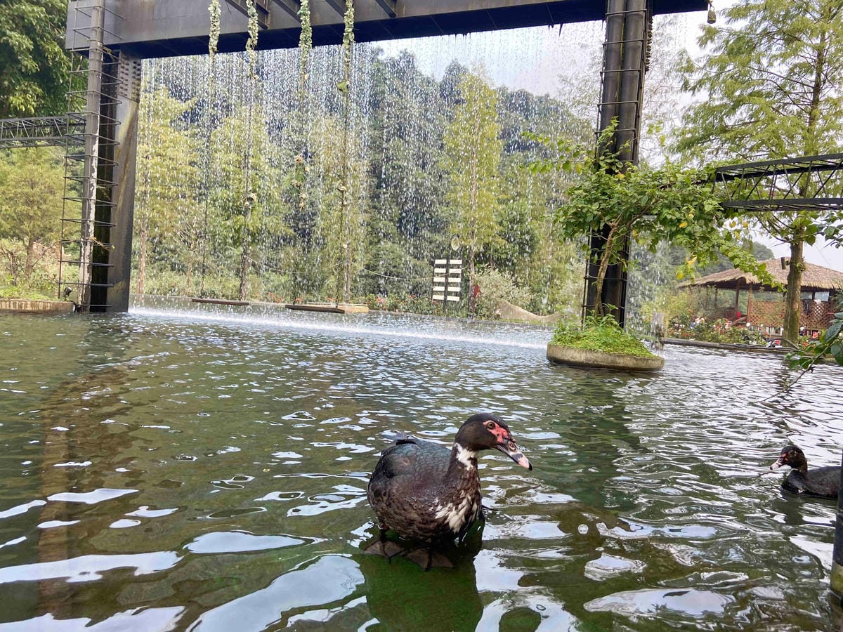 IMG_0385_副本.jpg IMG_0385_副本.jpg