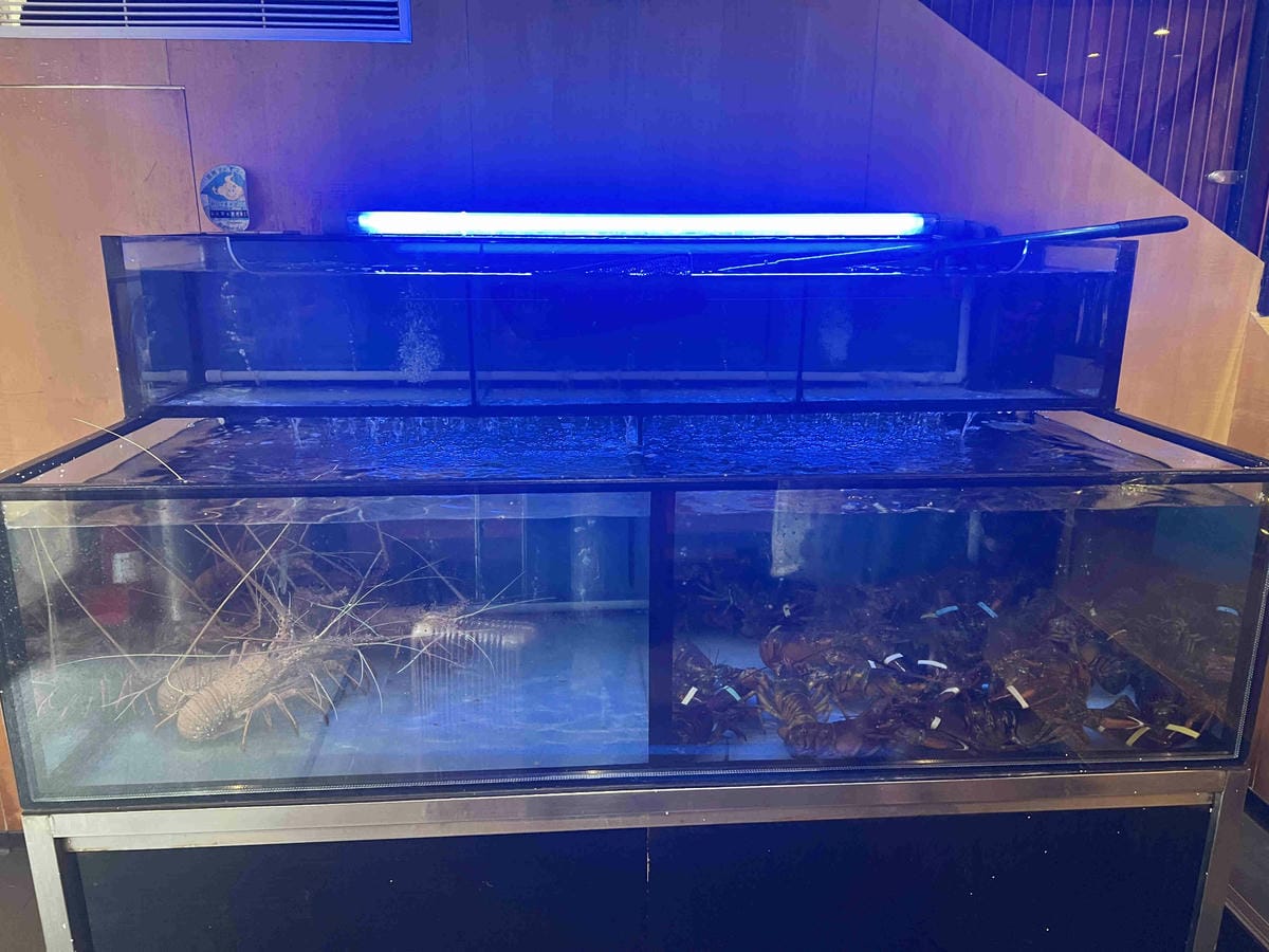 明水然無菜單鐵板燒-慶城店 (102).jpg 明水然無菜單鐵板燒-慶城店 (102).jpg