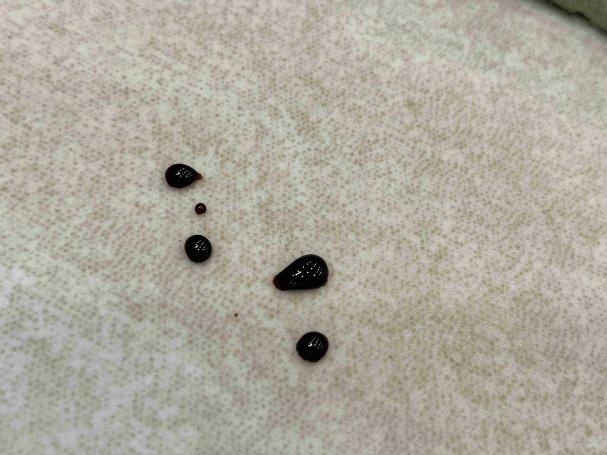 IMG_3640_副本.jpg IMG_3640_副本.jpg