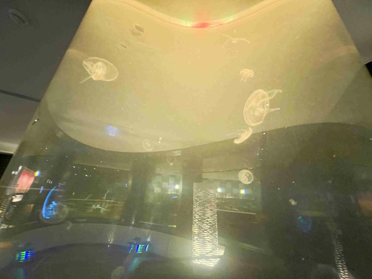 大員皇店環境.接駁車 (6).jpg 大員皇店環境.接駁車 (6).jpg