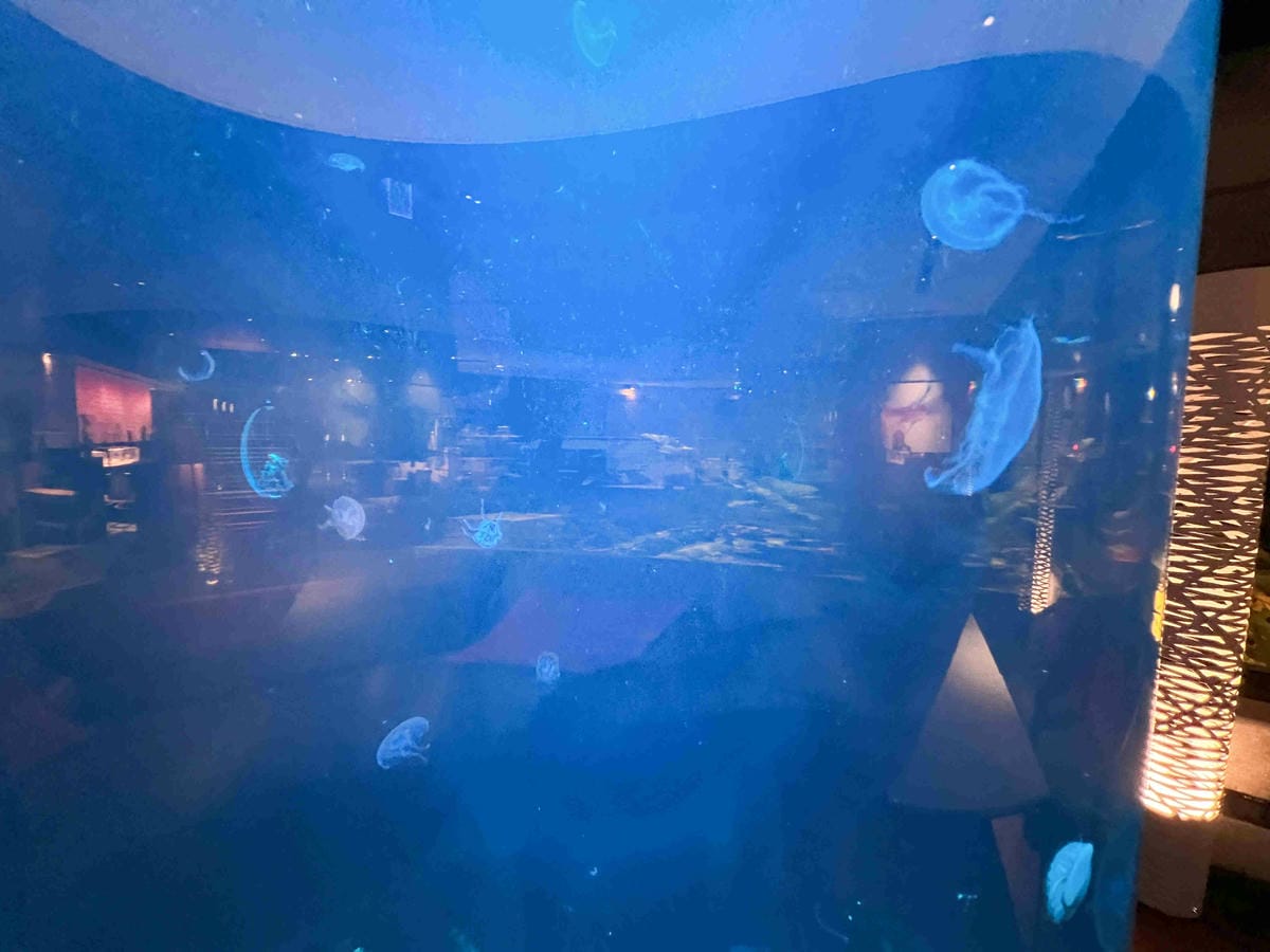 大員皇店環境.接駁車 (5).jpg 大員皇店環境.接駁車 (5).jpg