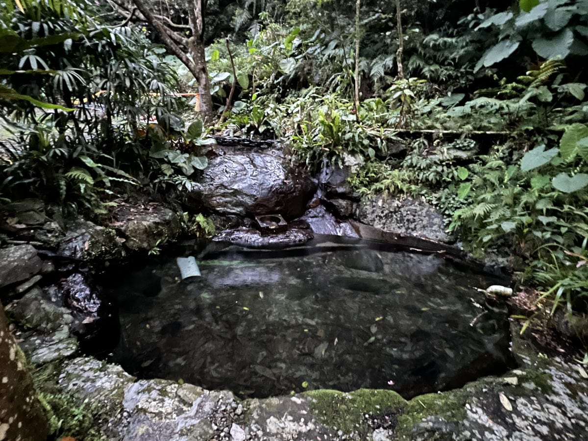 礁溪螢火蟲 (6).JPG 礁溪螢火蟲 (6).JPG