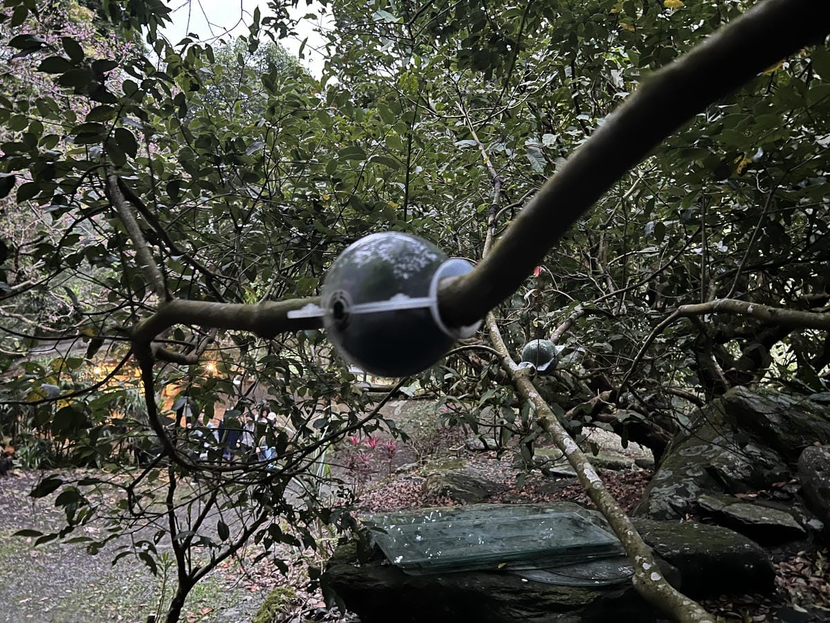 礁溪螢火蟲 (8).JPG 礁溪螢火蟲 (8).JPG