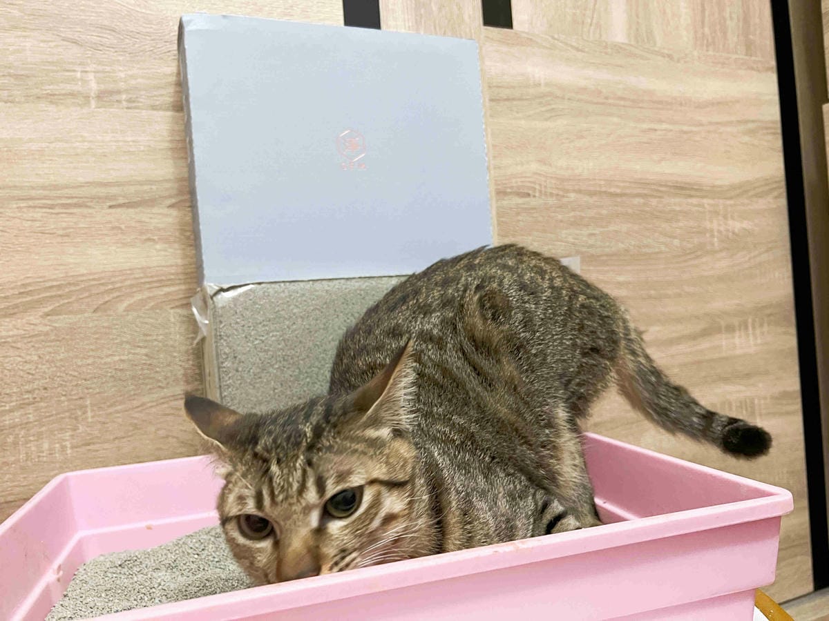 Gem‧淨天然無塵鈉基硅膠礦砂 (49).jpg Gem‧淨天然無塵鈉基硅膠礦砂 (49).jpg