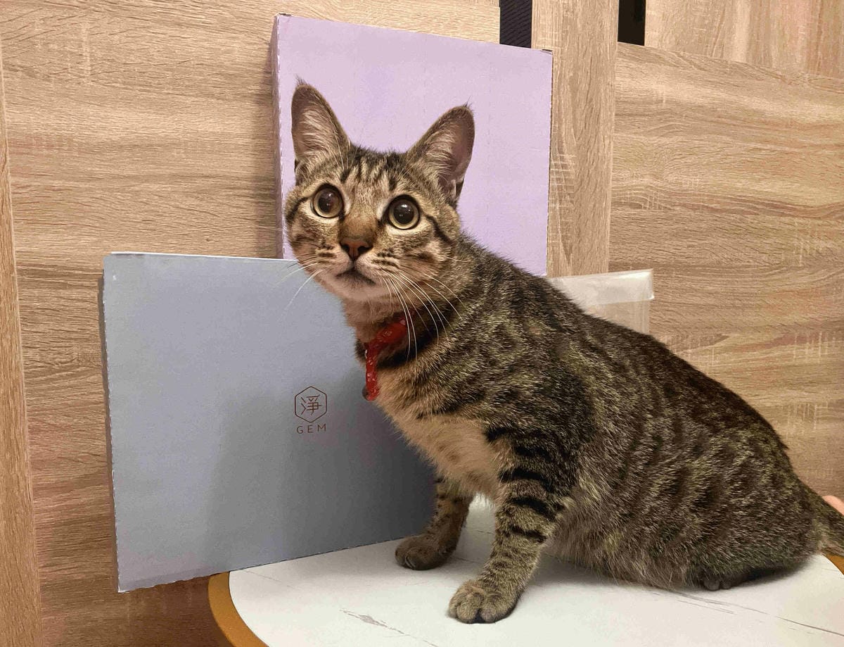 Gem‧淨天然無塵鈉基硅膠礦砂 (40).jpg Gem‧淨天然無塵鈉基硅膠礦砂 (40).jpg